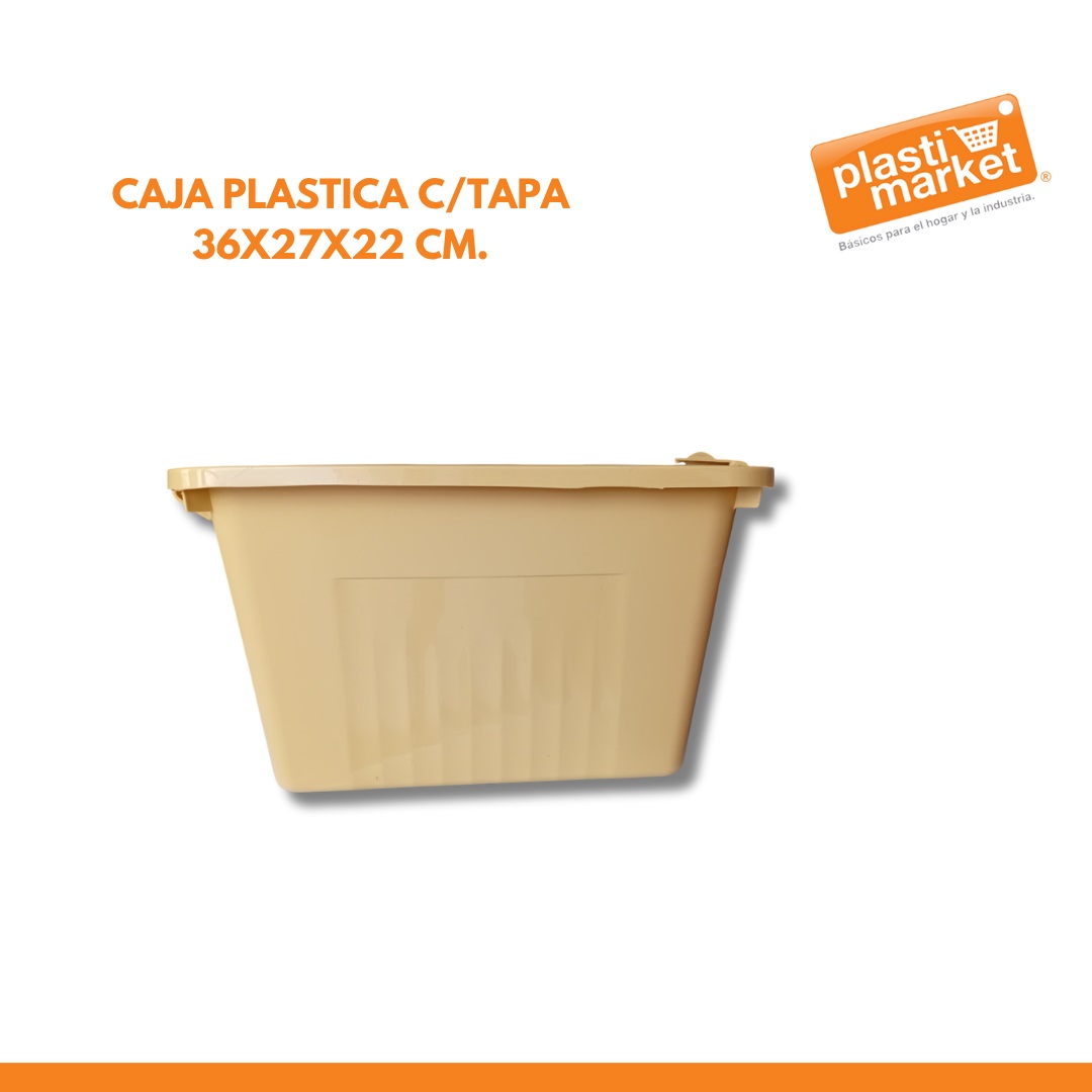 AM-7711-2 CAJA PLASTICA C/TAPA 36X27X22 CM.