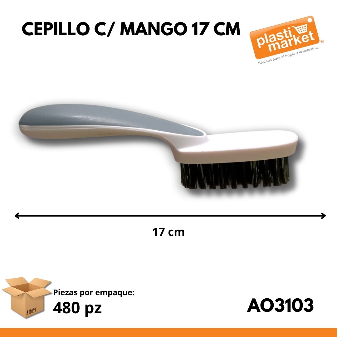 AO-3103 CEPILLO C/MANGO 17 CM.