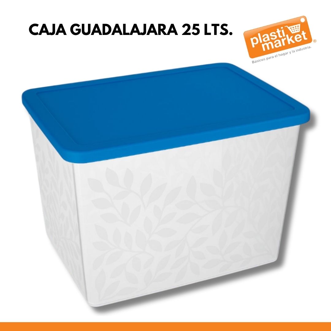 CAJA GUADALAJARA 25 LTS.