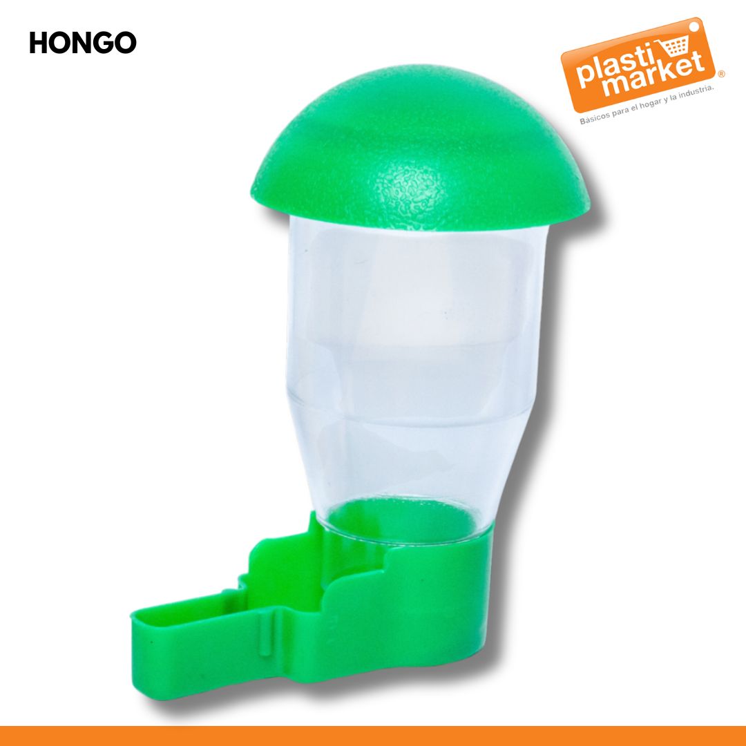 HONGO