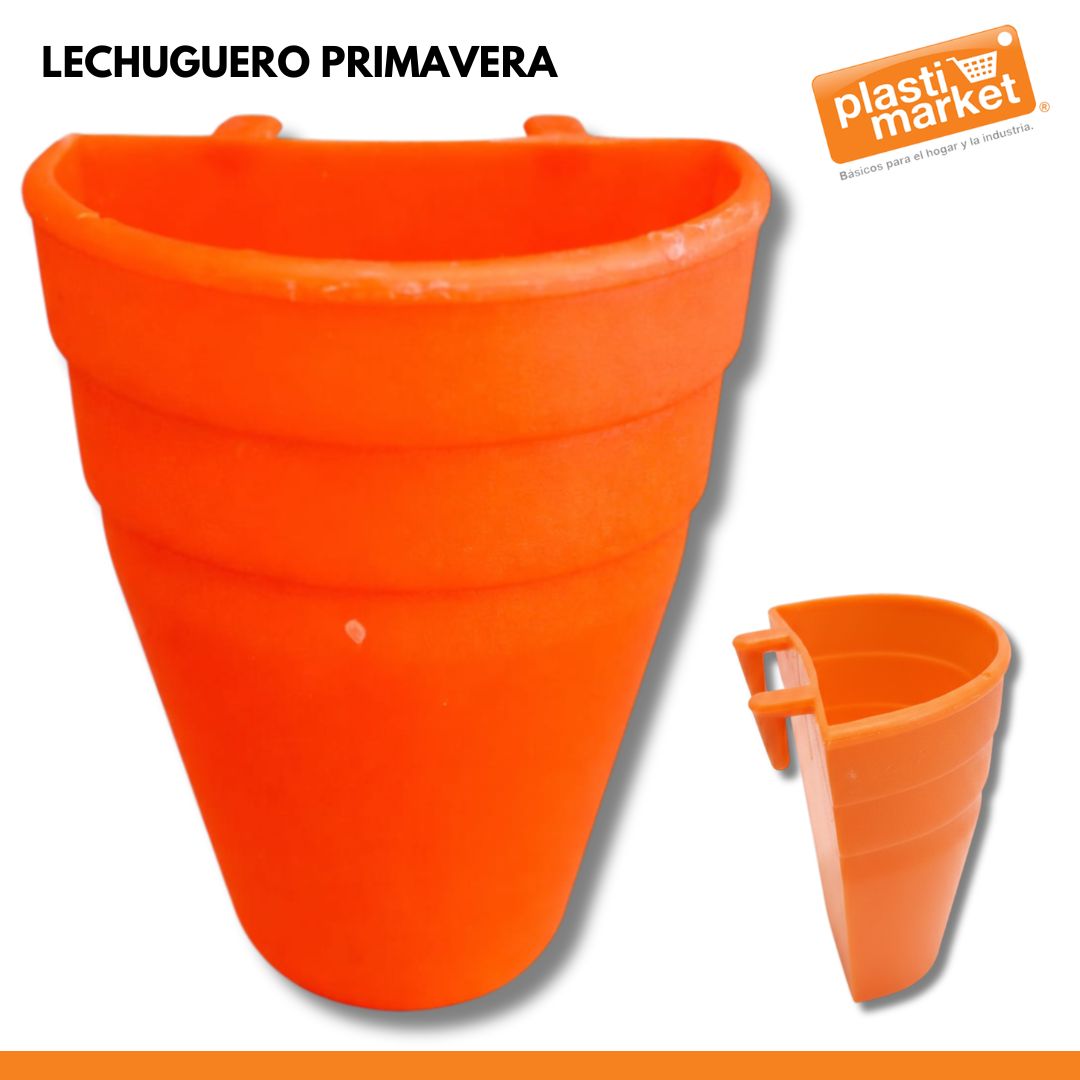 LECHUGUERO PRIMAVERA