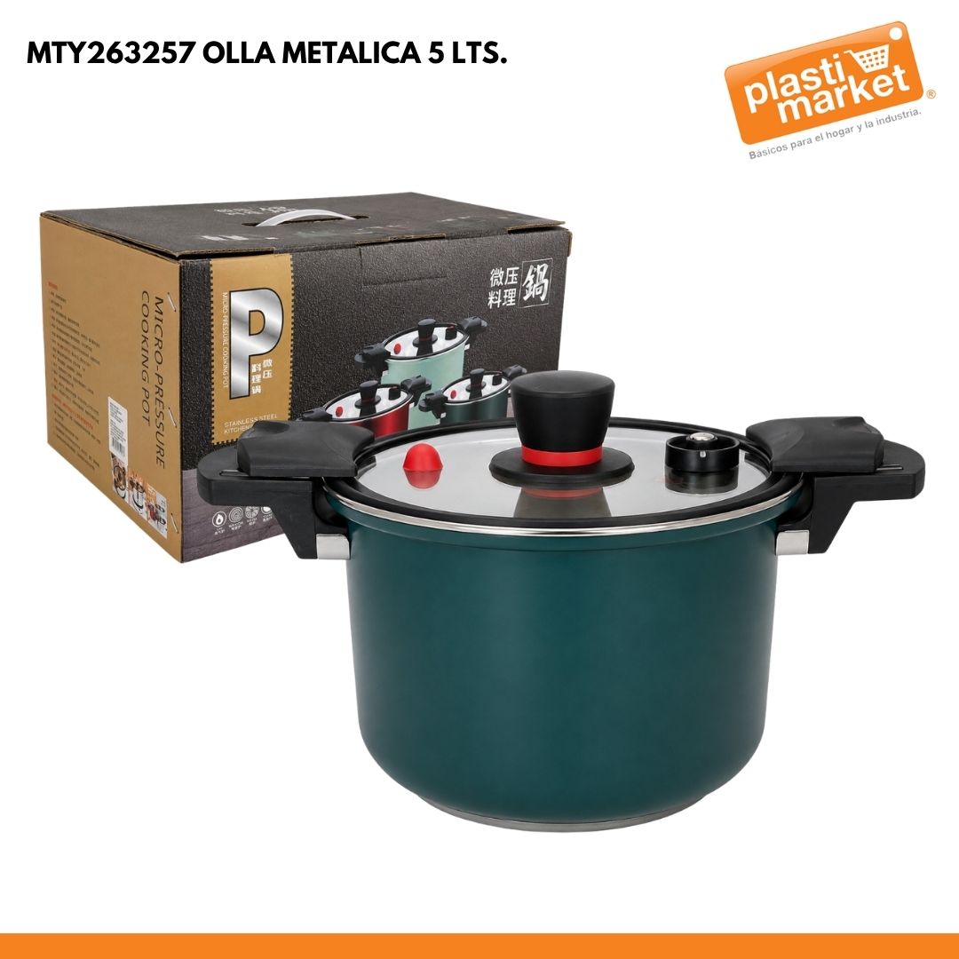 MTY263257 OLLA METALICA 5 LTS.